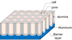 Figure A: Anodic Cell Structure Diagram (Before Printing) with empty pores